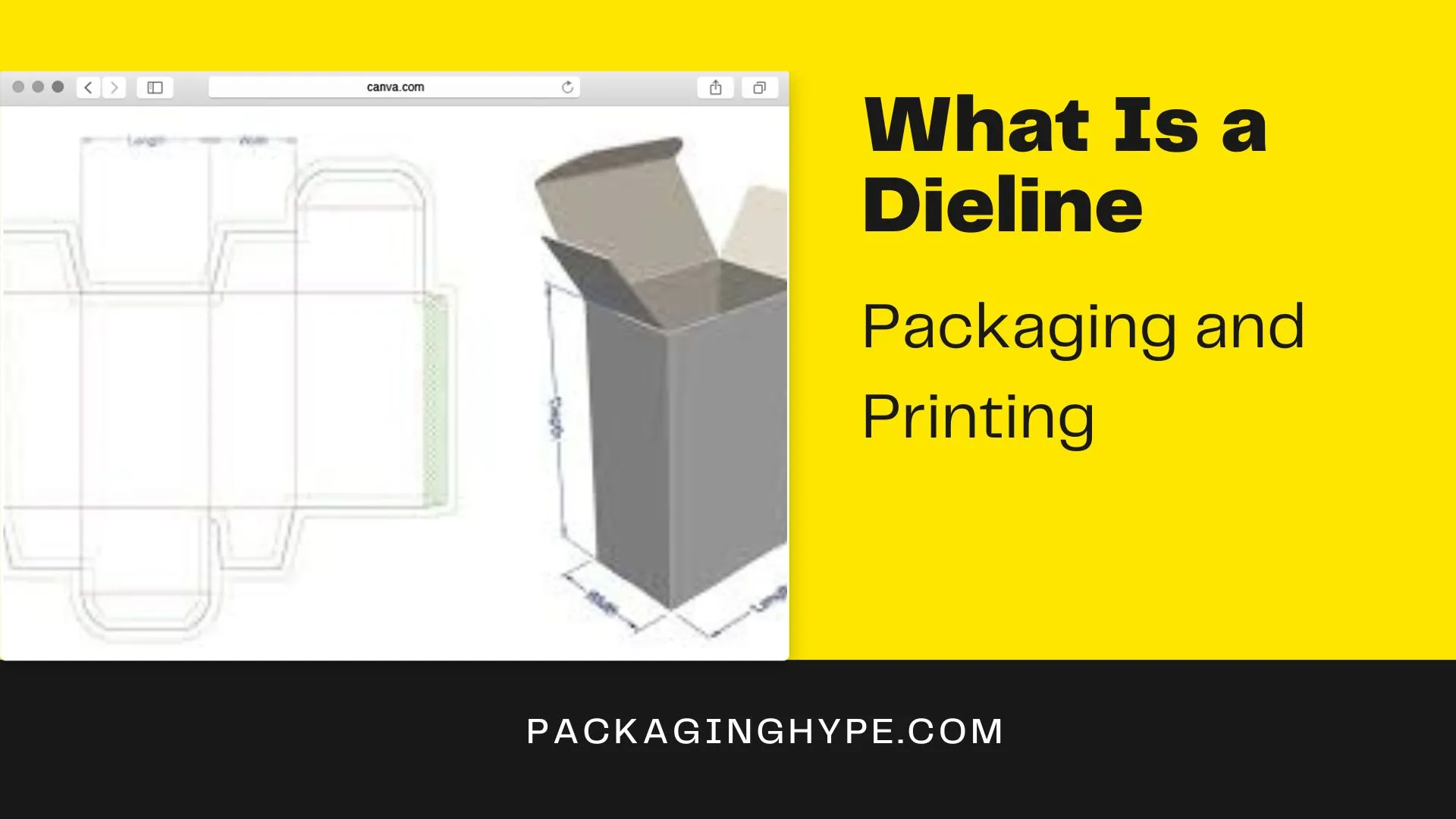What Is a Dieline in Packaging and Printing?