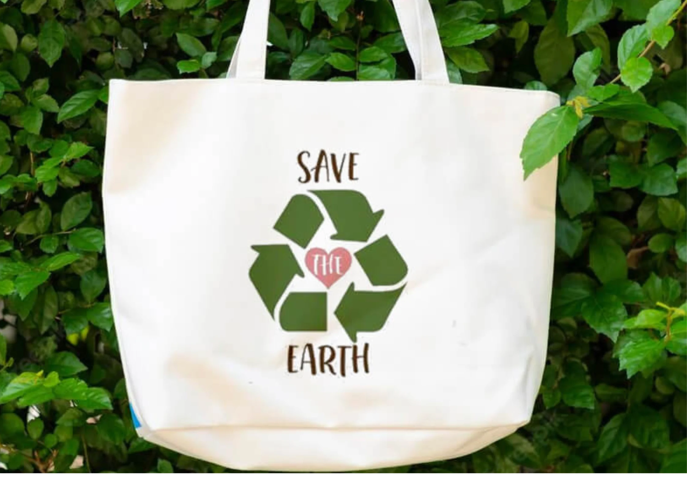 10 Reasons You Should Use Reusable Grocery Bags
